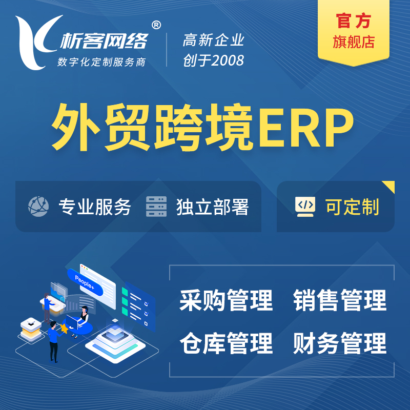 六安外贸跨境ERP软件生产海外仓ERP管理系统